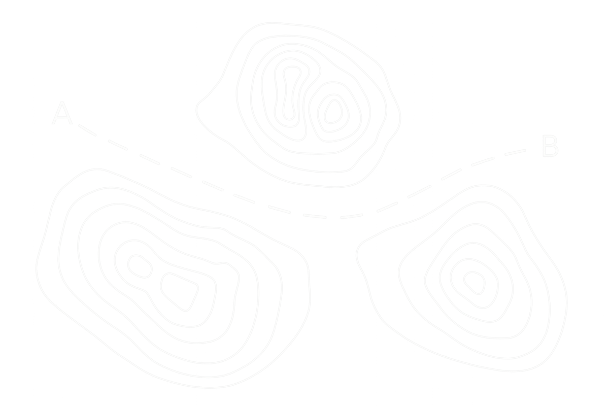 Vegvisir value proposition